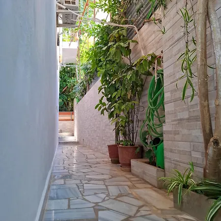 29 * ساراندا